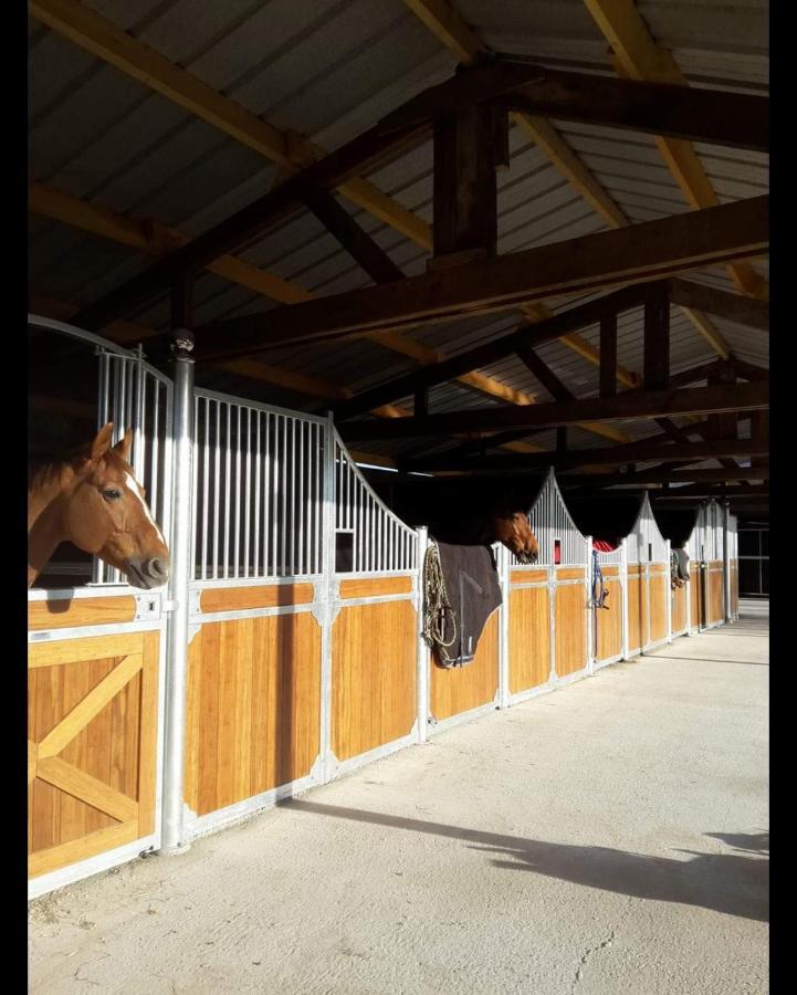 Les Gites De Ninon Moult Exterior photo